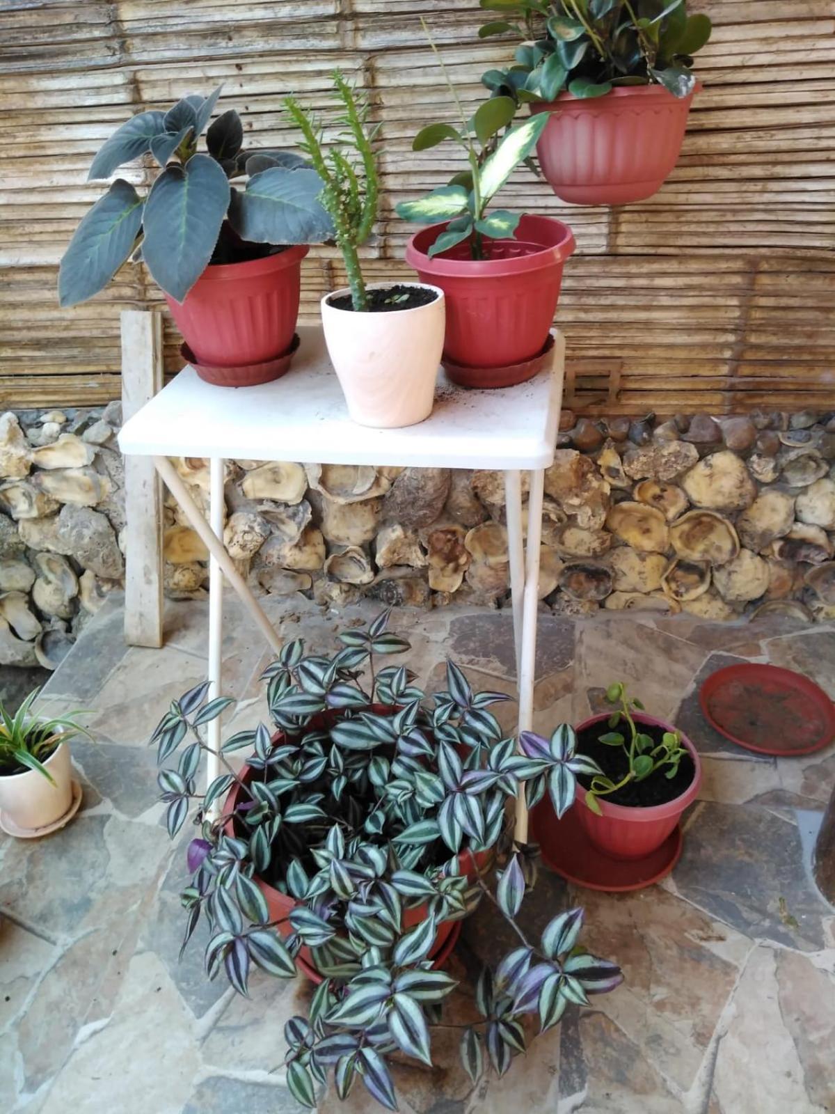 Hospedajesperu Zorritos Buitenkant foto